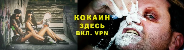 спиды Аркадак