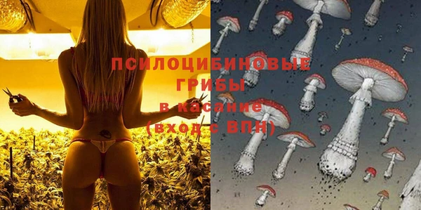 спиды Аркадак